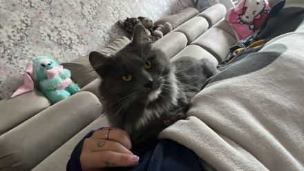 2 wunderschöne liebenswerte Wesen