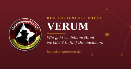 HundsKompetenZEN – Daniel Kernchen | Hundetraining & Verhaltensberatung