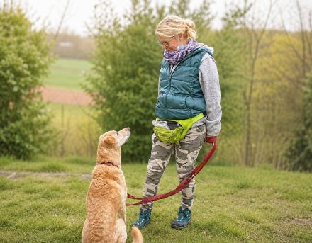 Hundeschule DOG-FIRST