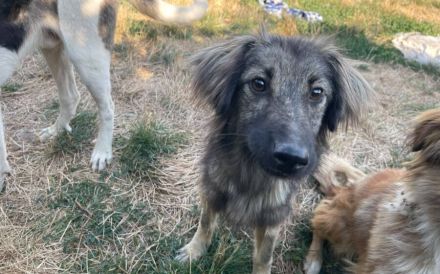 Tutti sucht Familienanschluss