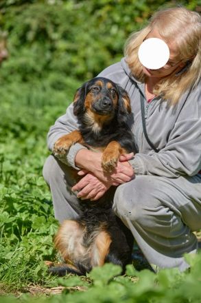 Athos: Ein Musketier zum Verlieben