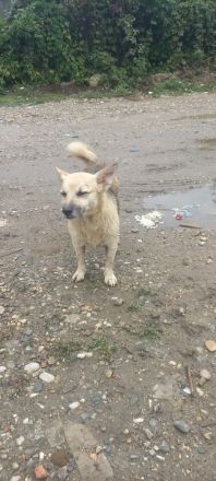 Kukla sucht ein warmes Zuhause