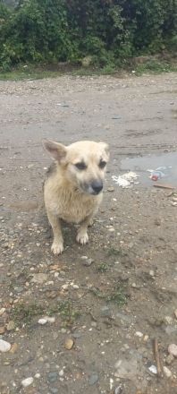 Kukla sucht ein warmes Zuhause
