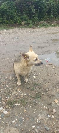 Kukla sucht ein warmes Zuhause