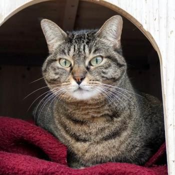Zoe, Einzelprinzessin