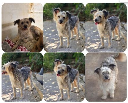 Lotti – wunderschön und noch sehr unsicher