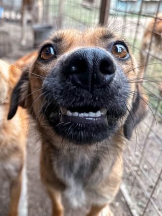 Koba ist ein lieber Bub