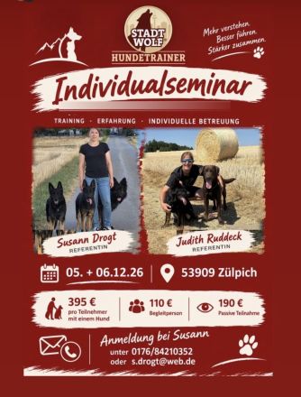 Individualseminar