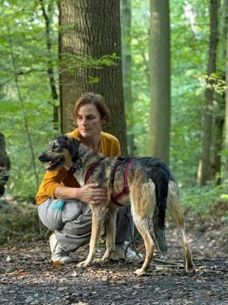 Gaia auf Pflegestelle in 48155 Münster sucht ihr Für-immer-Zuhause