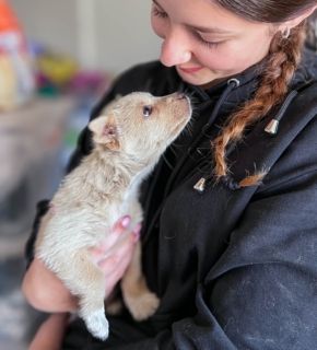 Penny ist eine kleine Herzensbrecherin