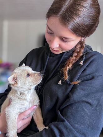 Penny ist eine kleine Herzensbrecherin