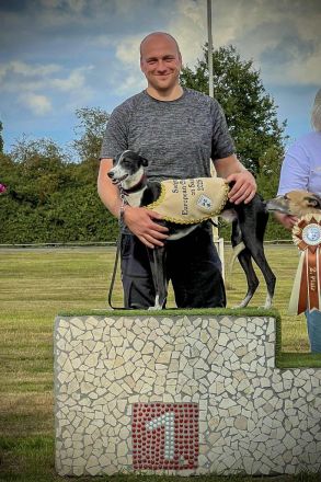 Whippet Welpen aus den besten Rennlinien