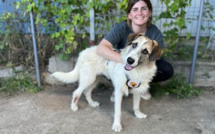 Lebensfrohe und ausgeglichene Lola sucht Zuhause