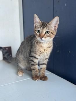 Otto, Rania und Jordania