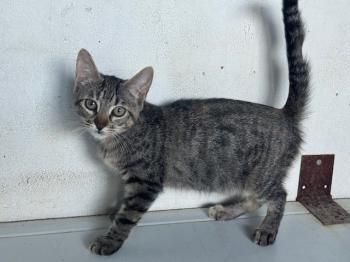 Otto, Rania und Jordania
