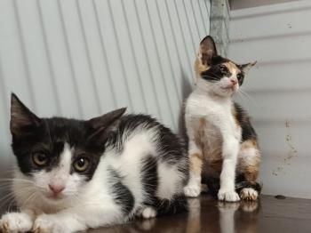 Olivia und Bella
