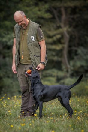 Labrador Deckrüde schwarz, HD A1/A1, ED frei, Gentests N/N