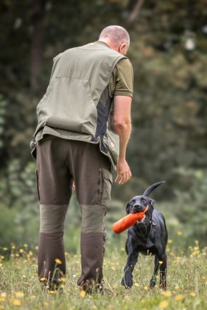 Labrador Deckrüde schwarz, HD A1/A1, ED frei, Gentests N/N