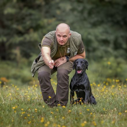 Labrador Deckrüde schwarz, HD A1/A1, ED frei, Gentests N/N