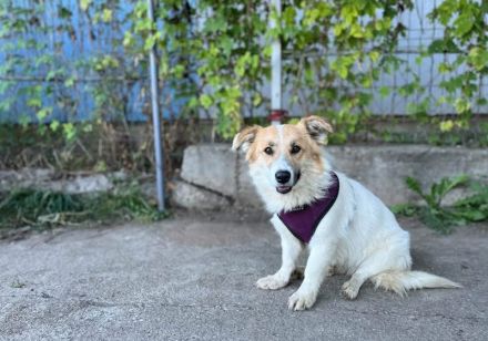 Schüchterne aber zauberhafte Skye sucht ihre Menschen