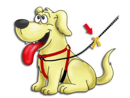 Aktion "Gelber Hund braucht Freiraum"