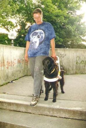 Die Ausbildung zum Blindenführhund