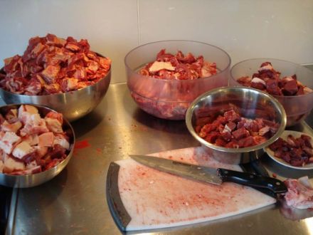 Barf - Tiergerechte Ernährung von Hunden