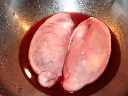 Barf - Tiergerechte Ernährung von Hunden