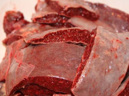 Barf - Tiergerechte Ernährung von Hunden