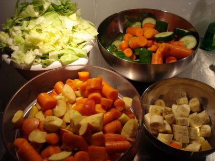 Barf - Tiergerechte Ernährung von Hunden