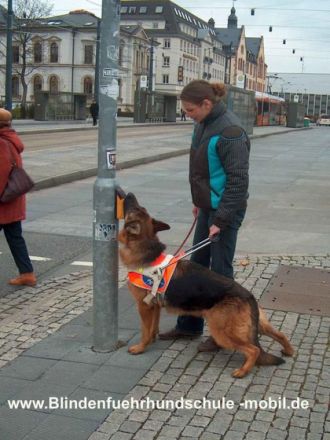 Die Blindenführhundschule "mobil" stellt sich vor