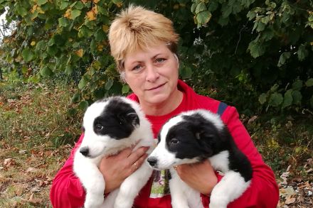 Die Border-Collie-Zucht "Auf dem Spiersberg"
