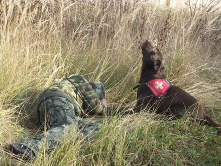 Die BRH-Rettungshundestaffel Franken e.V. stellt sich vor