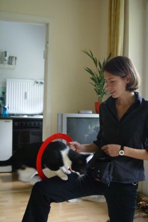 Clickertraining mit Katzen