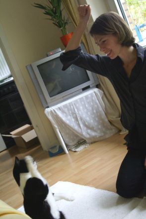 Clickertraining mit Katzen