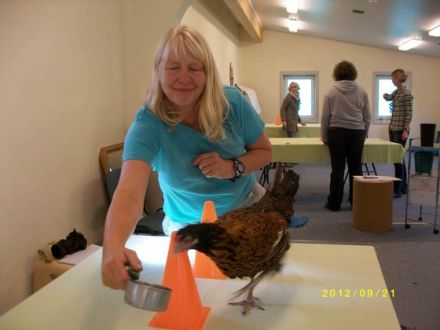 Clickertraining für Hunde (Teil 2): Einsatzmöglichkeiten