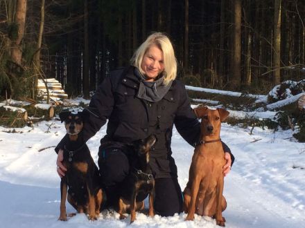 Die Deutschen Pinscher "vom Kaiser Haus" stellen sich vor