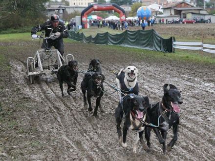 Deutscher Meister im Schlittenhundewagenrennen off Snow mit 67 Jahren