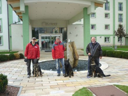 Der Deutsche Schäferhund im Film "Der Turm"