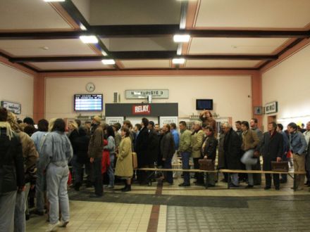Der Deutsche Schäferhund im Film "Der Turm"