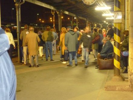 Der Deutsche Schäferhund im Film "Der Turm"