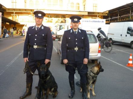 Der Deutsche Schäferhund im Film "Der Turm"