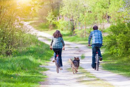 Ach du dicker Hund: Übergewicht bei Hunden erkennen und behandeln