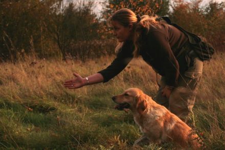 Dummyarbeit zur Beschäftigung von Hunden