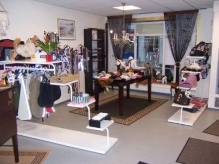 Die erste Hundewaschanlage in Hessen