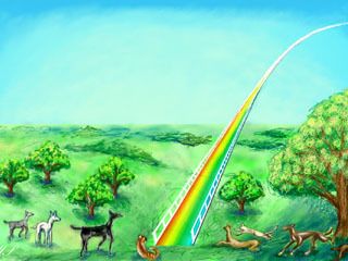 Euthanasie bei Tieren: Einschläfern von Hund, Katze und Co.