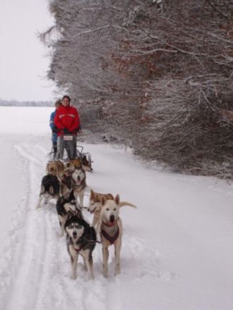 Hundefinder.de auf der Haustiermesse Sachsen im April in Leipzig