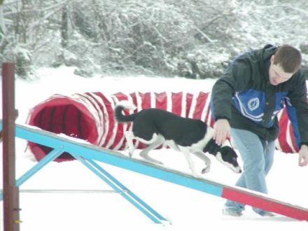 Hundefinder.de auf der Haustiermesse Sachsen im April in Leipzig