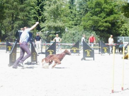 Hundefinder.de auf der Haustiermesse Sachsen im April in Leipzig