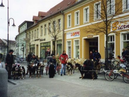 Hundefinder.de auf der Haustiermesse Sachsen im April in Leipzig